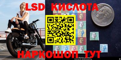 ГАЛЛЮЦИНОГЕННЫЕ ГРИБЫ Нарткала