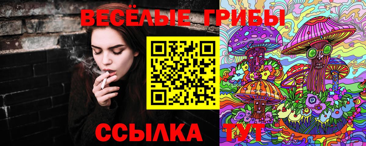 Тобольск  Псилоцибиновые грибы MAGIC MUSHROOMS  Галлюциногенные грибы ЛСД  Вход с VPN 